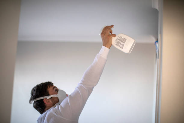Best Office Mold Removal Services  in West Homestead, PA